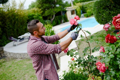 Gardener inspecting a backyard during a maintenance visit