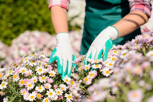 Staff weighing and recording diverted garden waste at site