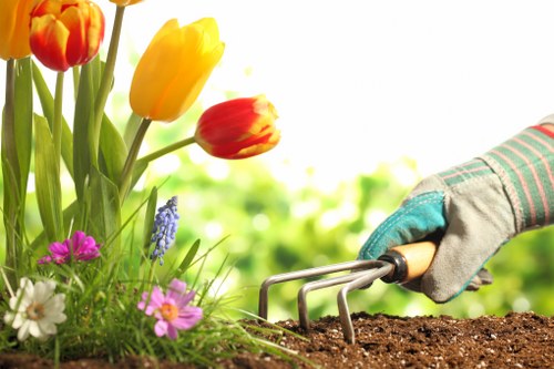 List of accessible features for local garden maintenance services